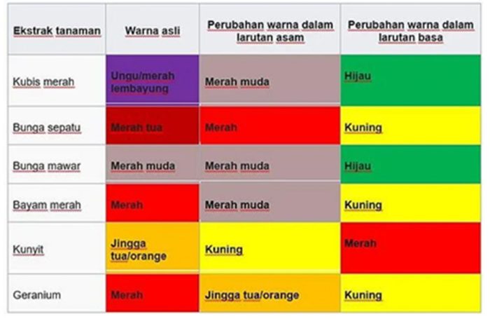 cara membuat indikator pp