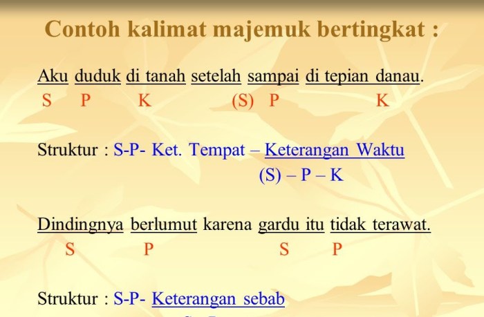 contoh kalimat isim mutsanna