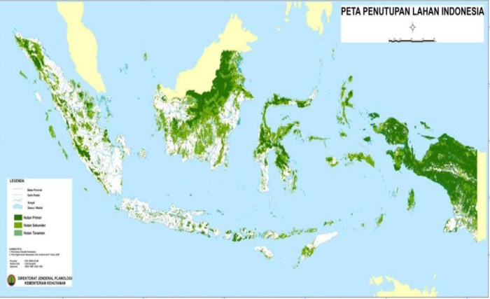 Kehutanan peta persebaran hutan di indonesia