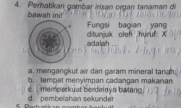 Fungsi bagian yang ditunjuk huruf x adalah