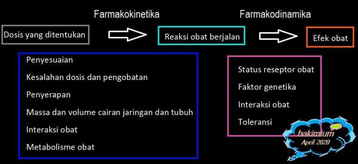 perbedaan doktrin dan dogma