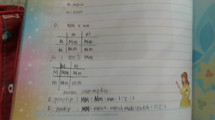 contoh soal persilangan intermediet terbaru