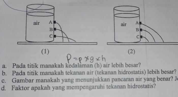 ikan tekanan hidrostatis perbandingan berikut perhatikan