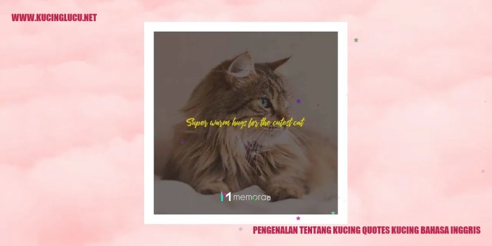 bahasa inggris kucing lucu terbaru