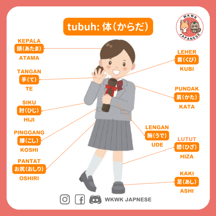 bagian tubuh dalam bahasa jepang