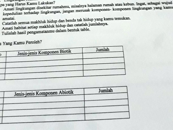 roda penemuan kuno sumeria dunia mengubah kereta memperlihatkan bangsa perang peninggalan