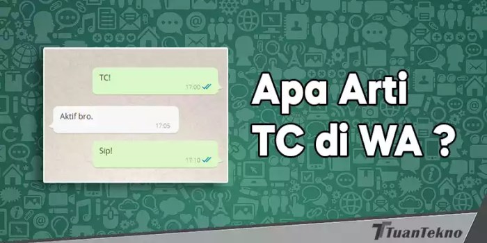 arti tc on di wa dan balasannya terbaru