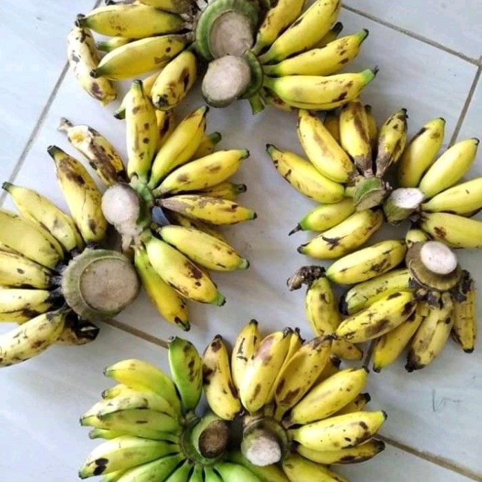 pisang uli dalam bahasa jawa terbaru