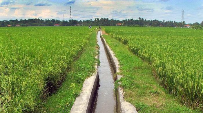 irigasi drainase perbedaan