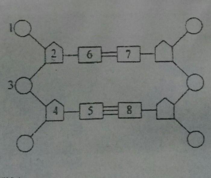 perhatikan gambar dan pernyataan berikut