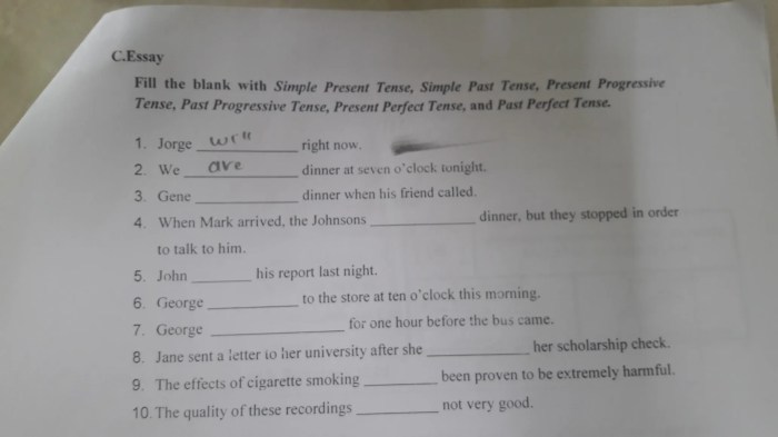 soal past continuous tense essay terbaru