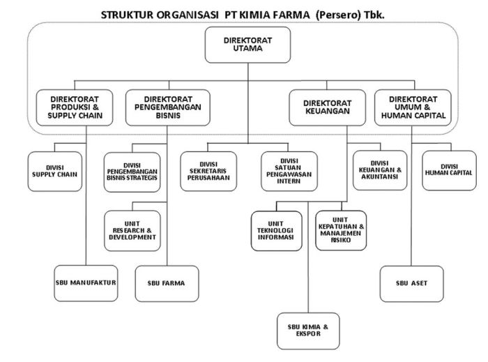 struktur organisasi lini dan staf terbaru