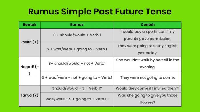 contoh past future continuous tense terbaru