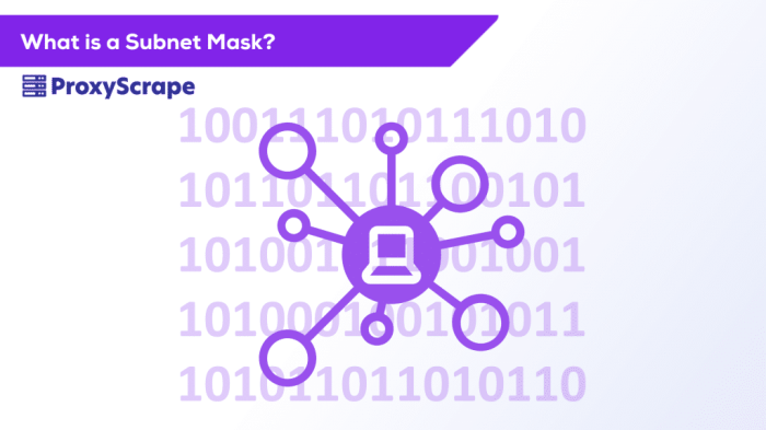 apa yang dimaksud subnet mask