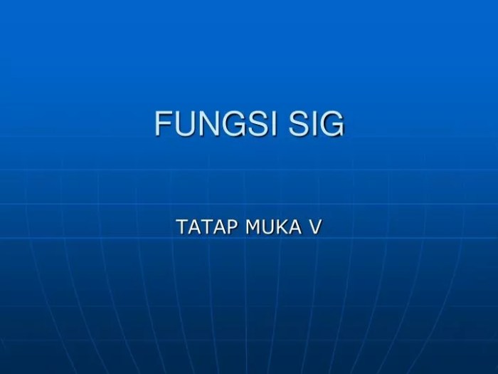 identifikasilah fungsi fungsi sig terbaru