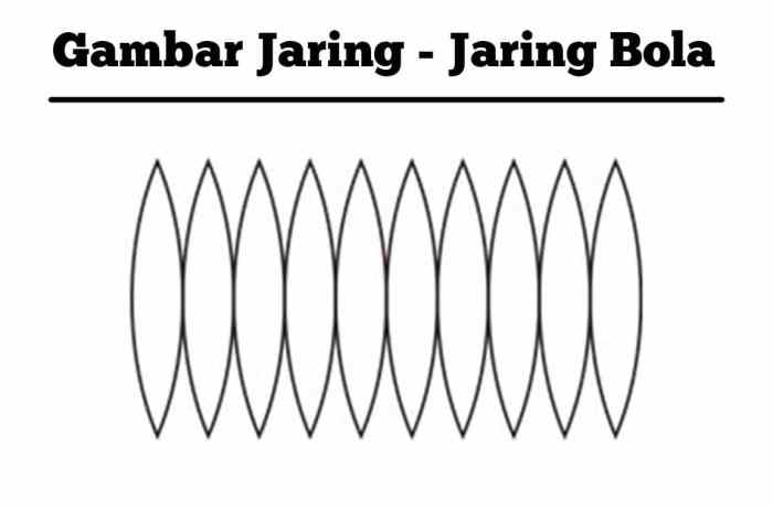 jaring jaring setengah bola terbaru