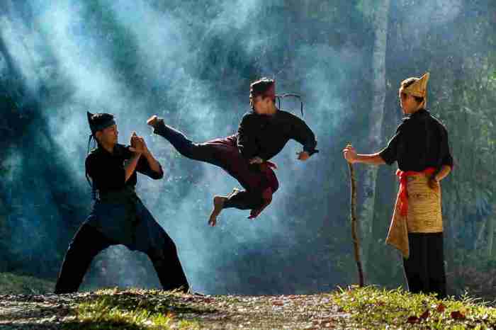 teknik sapuan pencak silat terbaru