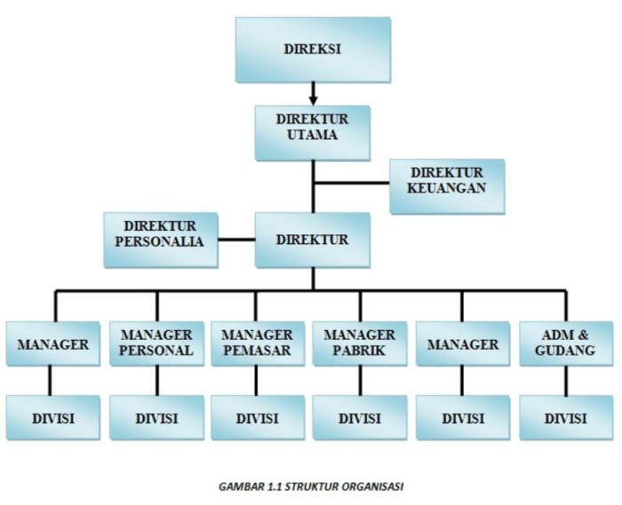 contoh struktur organisasi divisional terbaru