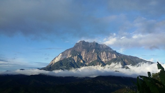 jawaban ips kelas 8 halaman 61