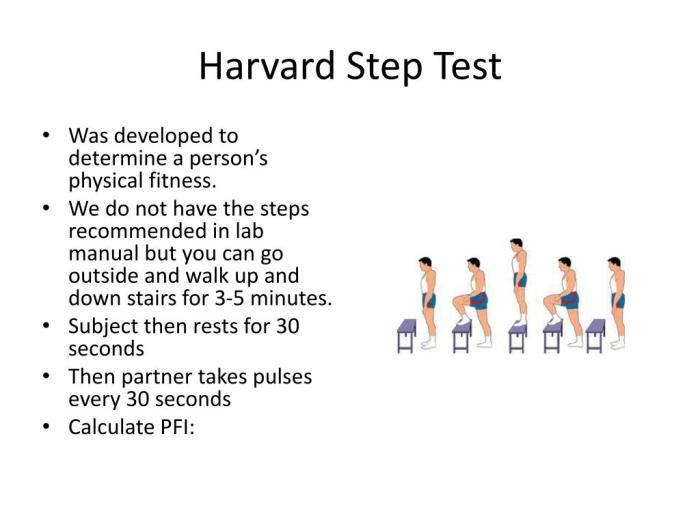 Cara Menghitung Harvard Step Test - FirstLoveBand