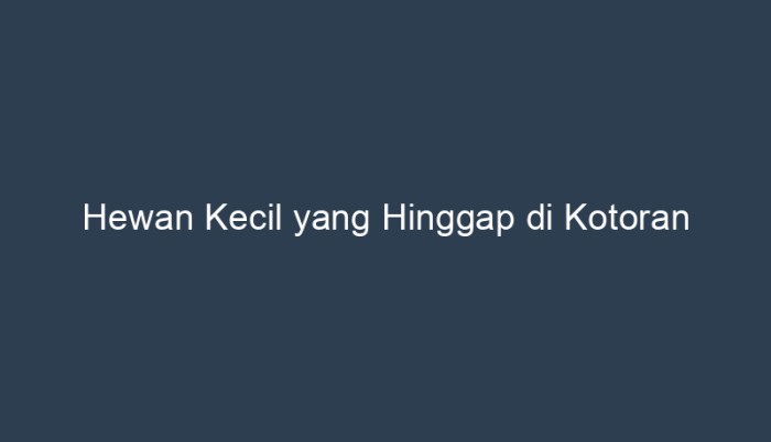 hewan kecil yang hinggap di kotoran terbaru