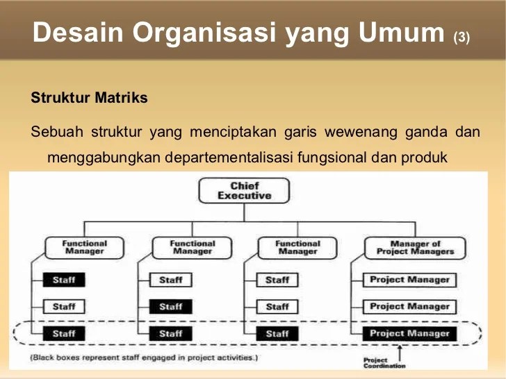 Garis putus putus dalam struktur organisasi