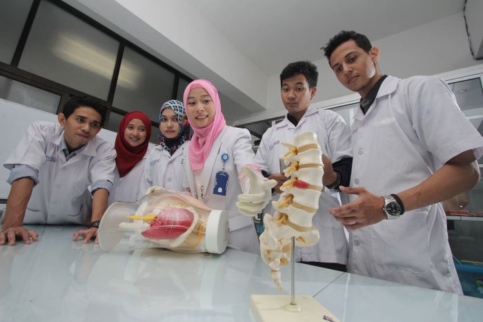 Bedanya Pendidikan Dokter Dan Kedokteran Firstloveband