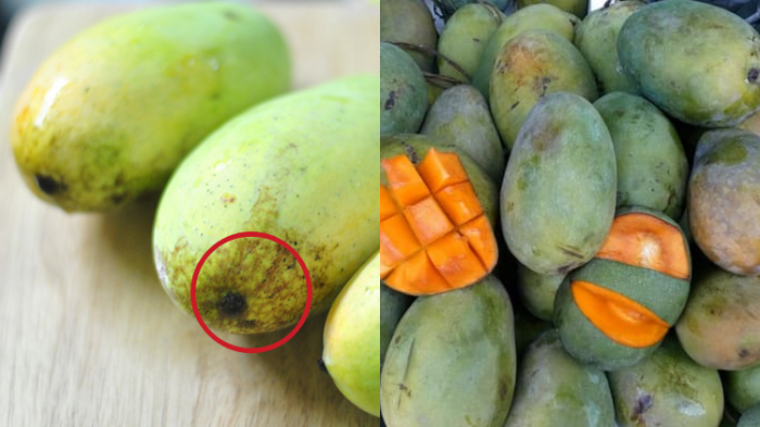 mangga manis harum dailysia