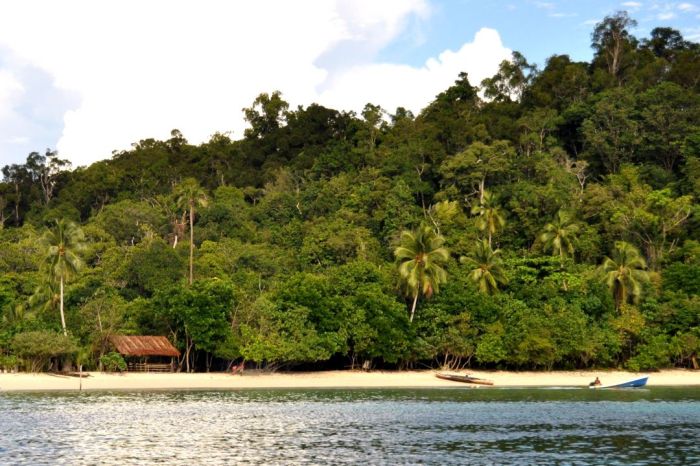 termasuk jenis flora apakah hutan pantai terbaru