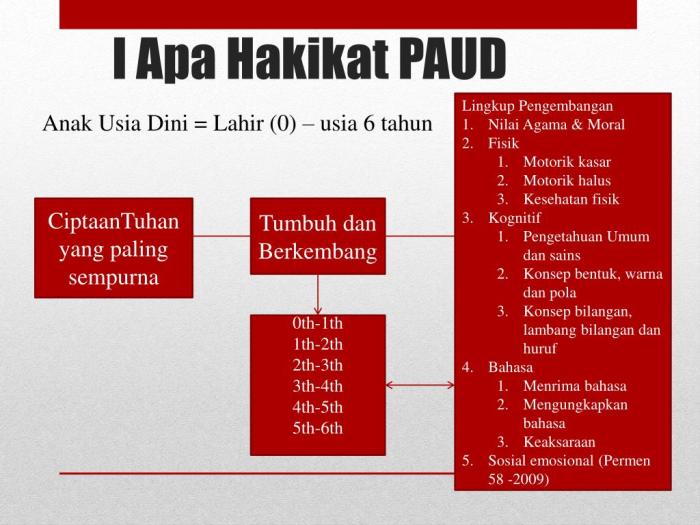 konsep pendidikan dini usia dasar buku indeks penerbit bukukita