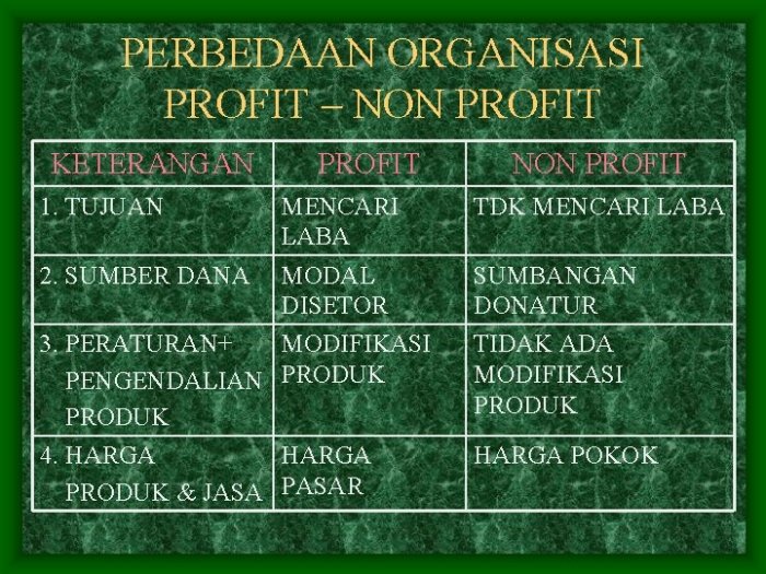 organisasi profit dan non profit terbaru