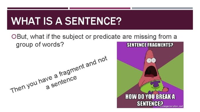 What is the fact of the previous sentence