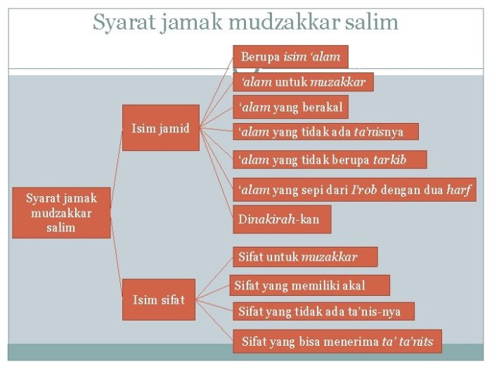 contoh isim jamak mudzakkar salim terbaru