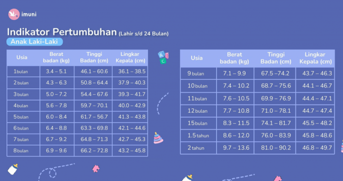 berat badan umur 12 tahun terbaru