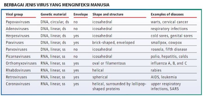 virus pada hewan dan penyakitnya