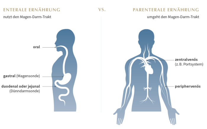 enteral dan parenteral adalah terbaru