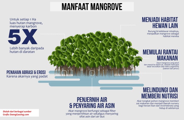 bedanya fungsi dan manfaat terbaru