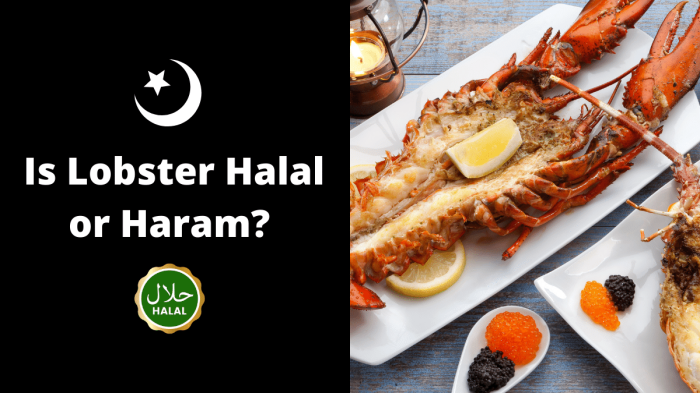 lobster udang apakah halal itu islampos