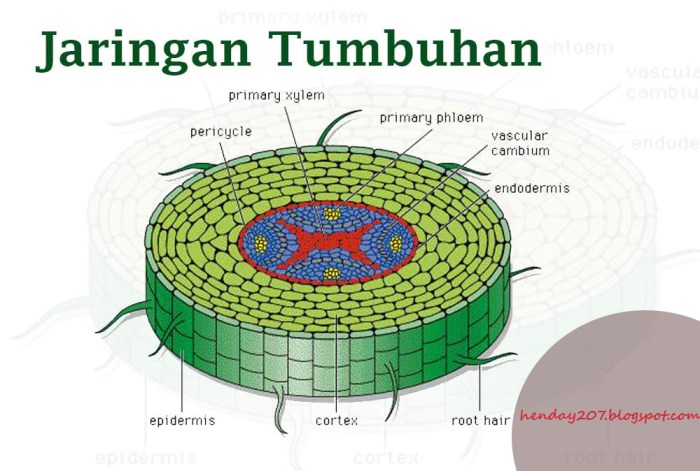 soal tentang jaringan komputer terbaru