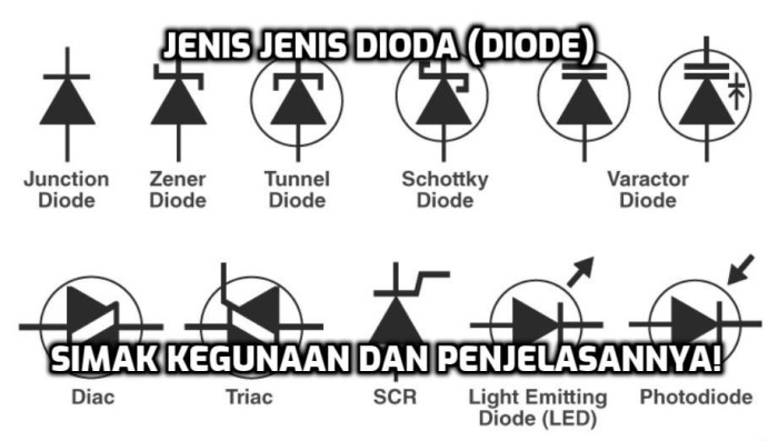 jenis dioda dan fungsinya terbaru