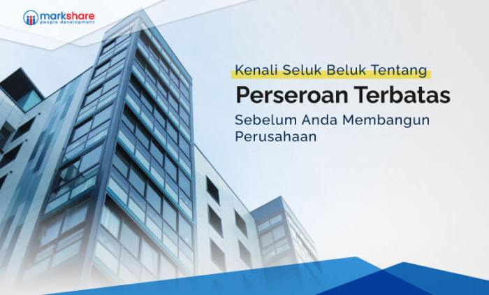 pengertian terbatas terbuka perseroan tbk kelebihan ciri kekurangan contohnya