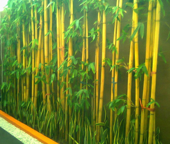 bambu beserta tanaman