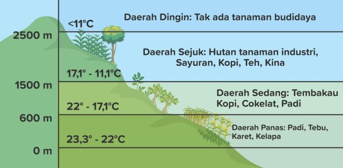 alga fauna flora perairan algae laut yang faunadanflora