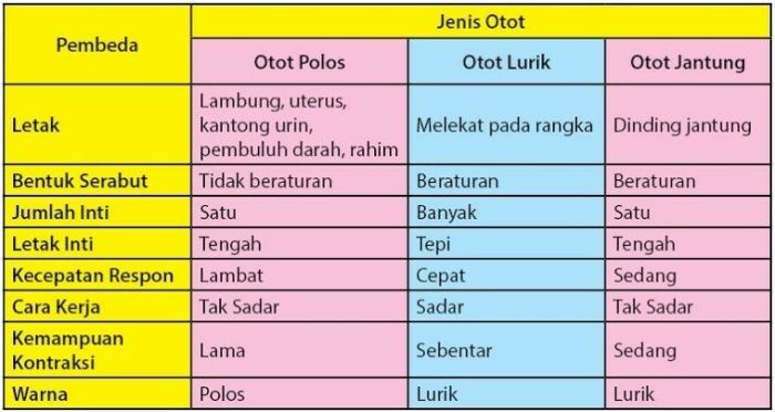 perbedaan jenis dan macam