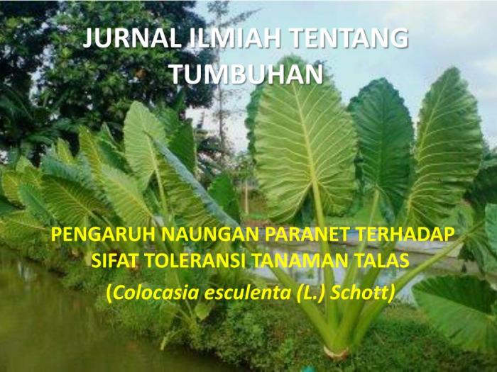 judul penelitian biologi tentang tumbuhan