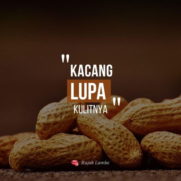 arti peribahasa kacang lupa kulitnya terbaru