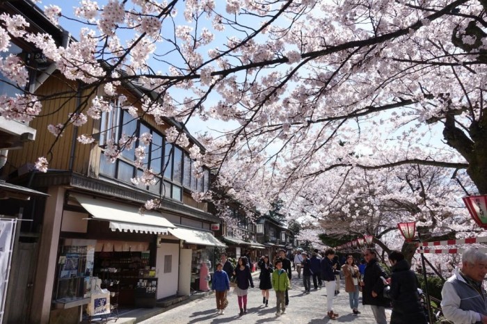 jepang ibu pindah mengapa kyoto kota