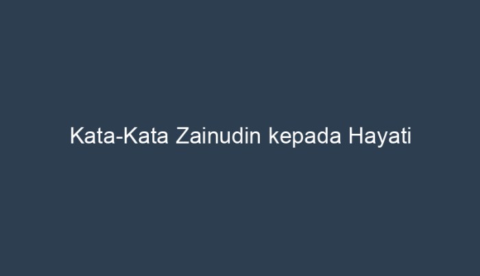 kata kata zainudin menolak hayati terbaru