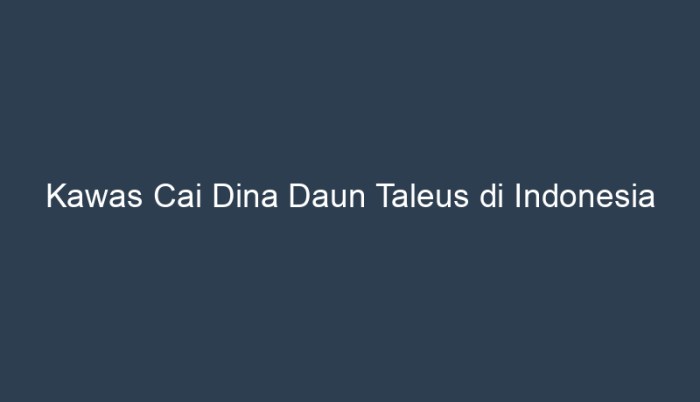 kawas cai dina daun taleus terbaru