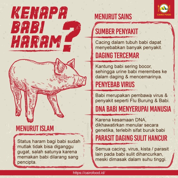 larangan makan babi dalam injil